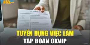 Tham khảo các vị trí đang được Okvip tuyển dụng